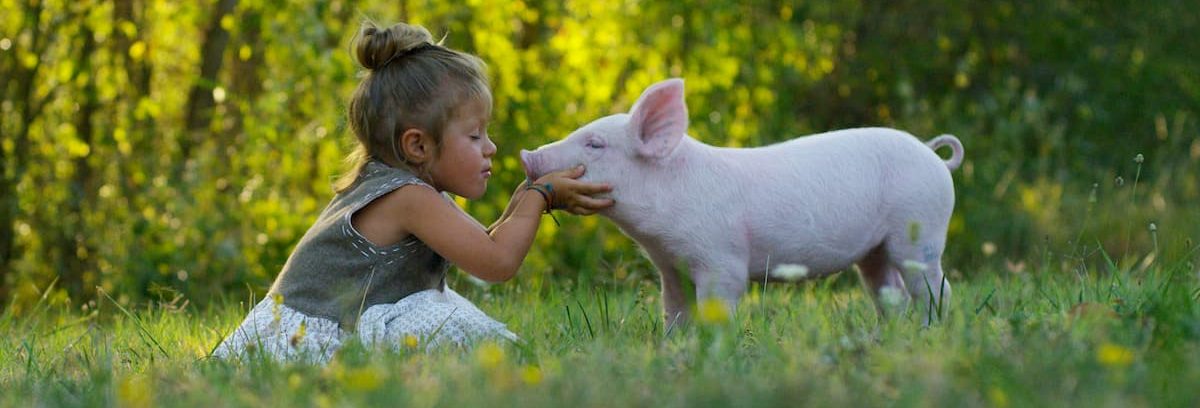 devenir vegan