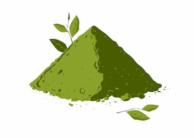 spiruline en poudre