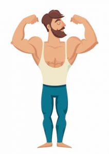 prise de muscles