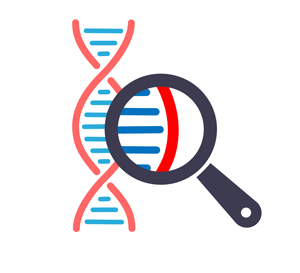 test adn de paternité 