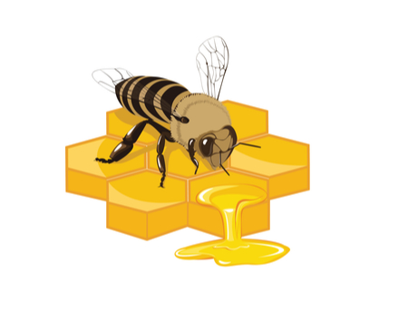gelée royale abeilles
